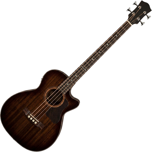Acoustic Basses