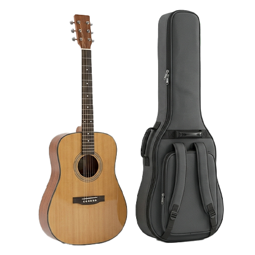 Case (Acoustic)