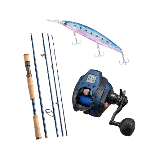 Daiwa Auctions 1 v2
