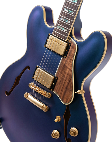 Epiphone Semi hollowbody 1