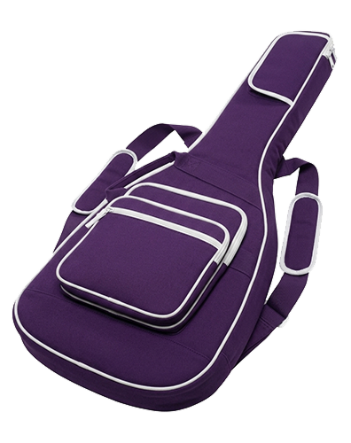 Ibanez Case 1