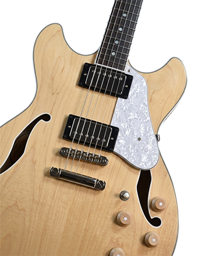 Ibanez Semi Hollowbody 1