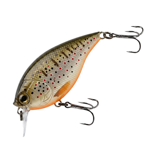 Lures Crankbait 1