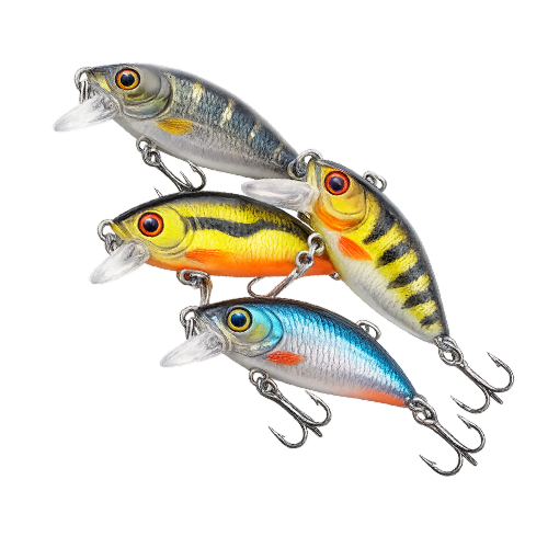 Lures TopWater 1
