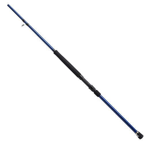 Rods Surf 1