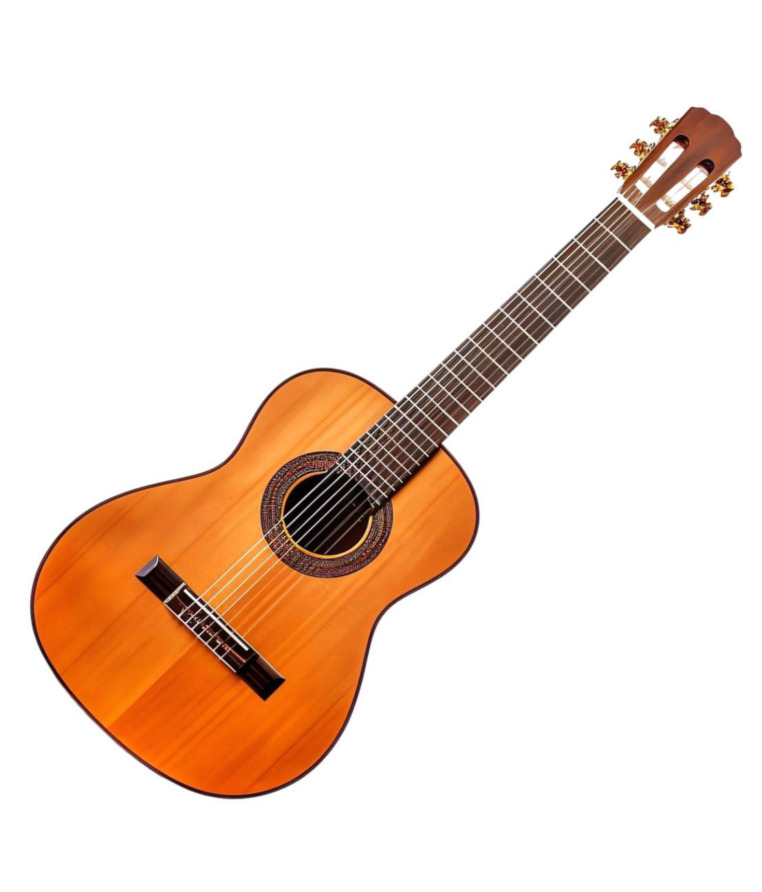 Acoustic guitar