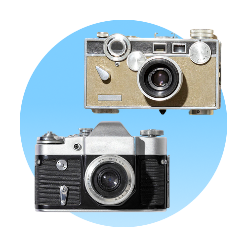 bluecat camera 1